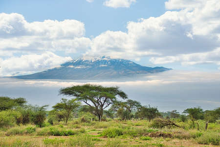 Pictures of the snow-covered Kilimanjaro in Tanzaniaの写真素材