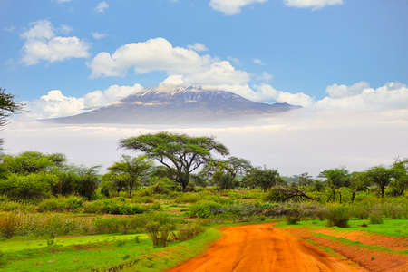 Pictures of the snow-covered Kilimanjaro in Tanzaniaの写真素材