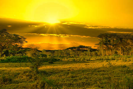 Sunset and sunrise in the Tsavo East National Park, Tsavo West and Amboseliの写真素材