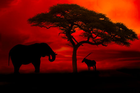 Sossusvlei in the Namib Desert of Namibiaの写真素材