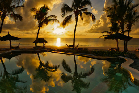 Swimming pool of luxury hotel resort with palm trees at beautiful sunsetの写真素材
