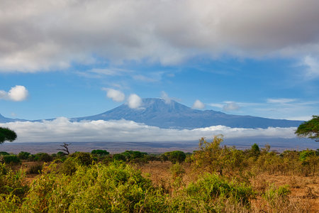 View of Mount Kilimanjaro from Amboseli, Kenyaの写真素材
