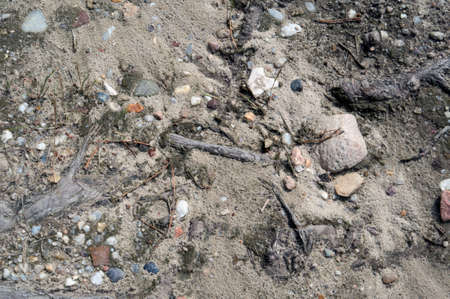 Sand road - close-up on the fieldの写真素材