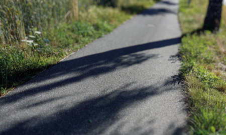 Idyllic Country Road with Tree Shadows on the Asphaltの写真素材