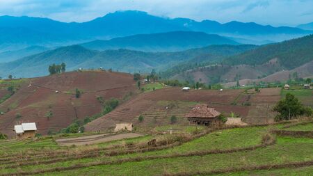 Rice terrace and mountain viewの写真素材