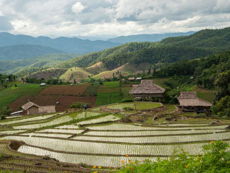 Paddy field or rice field on the mountain. A group of cottages at the rice terraces with the mountain range in the background. The mountain agriculture area at Pa Bong Piang village, Chiang Mai.の写真素材