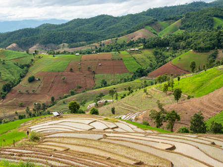 Farming and rice fields on the mountains by hill tribes. Rice terraces and corn or maize fields on the tranquil mountains. Beautiful scenic view of mountains valley and agricultural area.の写真素材