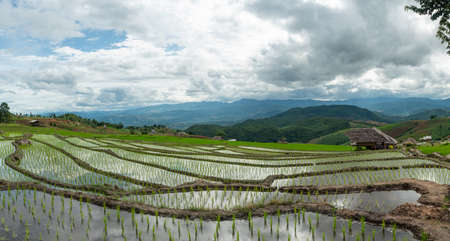 A panoramic view of the Pa Bong Piang rice terraces, Chiang Mai province. In the tranquil atmosphere of agricultural land on high mountains Popular tourist spots in the rainy seasonの写真素材