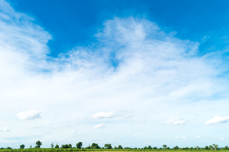 Blue sky and cloud with tree. landscape background.の写真素材