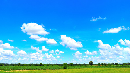 Blue sky and cloud with tree. landscape background.の写真素材