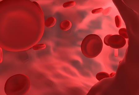 Red blood cell in blood vessel for biology studying. 3D rendering.