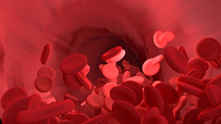 Red blood cell in blood vessel of body.  Science graphic for education of school. 3D rendering.の写真素材