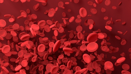 Red blood cell in blood vessel of body.  Science graphic for education of school. 3D rendering.の写真素材