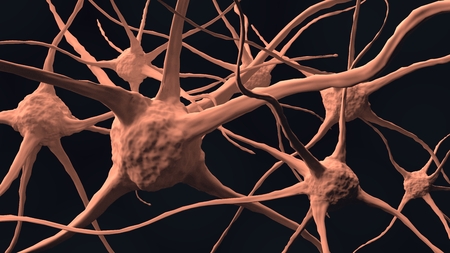 Nerve of human brain in body. Neutral cells. 3D rendering.