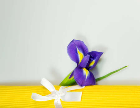 Iris flower and yellow place matsの写真素材