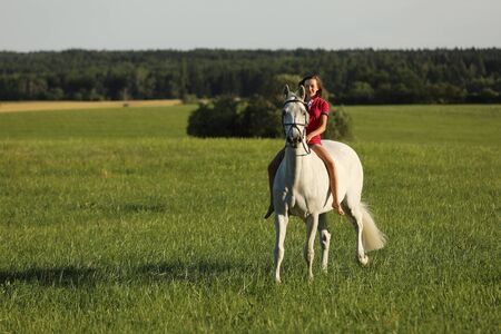 Young girl on roan horse walk on meadow in late afternoon without saddleの写真素材