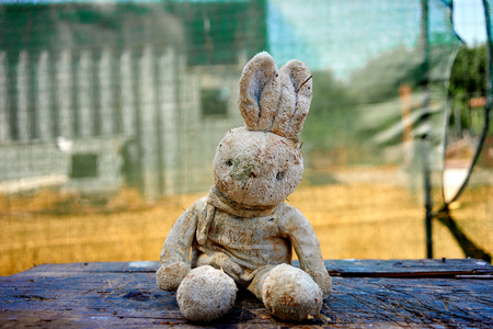 vintage rabbit puppetの写真素材