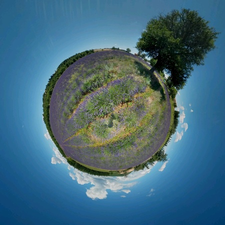 Little Planet of Provence lavander field
