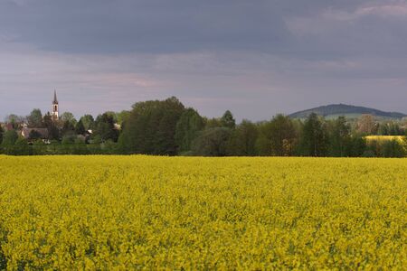 old church in Leutersdorf upper lusatia