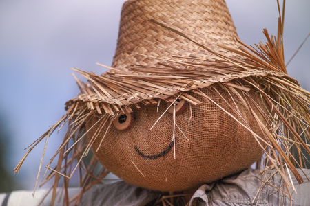 Scarecrow strawman made to guard the fieldsの写真素材