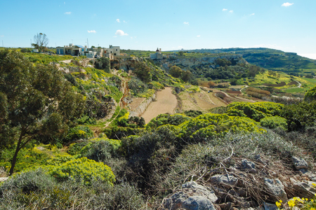 Dingli cliffs in Malta.の写真素材
