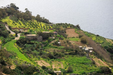 Great Dingli cliffs in Malta.の写真素材