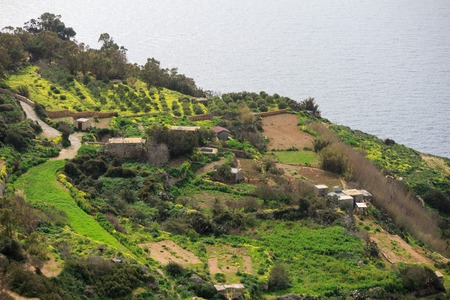 Great Dingli cliffs in Malta.の素材 [FY31075046114]