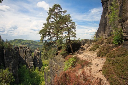 panorama view at Saxon Switzerland National park, Germanyの写真素材
