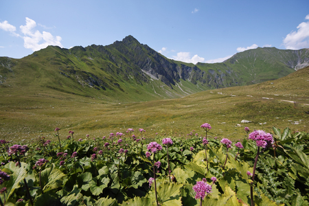 Austrian Alps-outlook on Tuxer Joch Weitental tyrolの写真素材