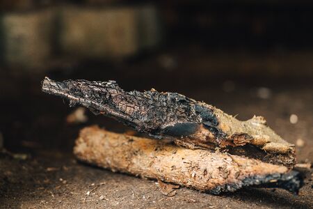 Charred wood coldの写真素材