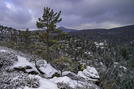 Jonsdorf mountains in saxonyの写真素材
