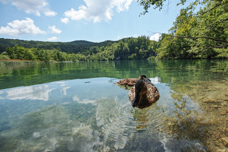 Plitice in croatiaの写真素材