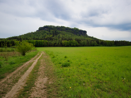 Rapeseed field in Saxon Switzerland with Lilienstein rock formationの写真素材