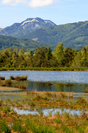 The beautiful moor in Nicklheimの写真素材