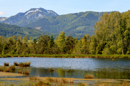 The beautiful moor in Nicklheimの写真素材
