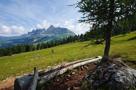 View of Catinaccio Rosengarten massif from the Latemar mountain. Dolomites, Italyの写真素材