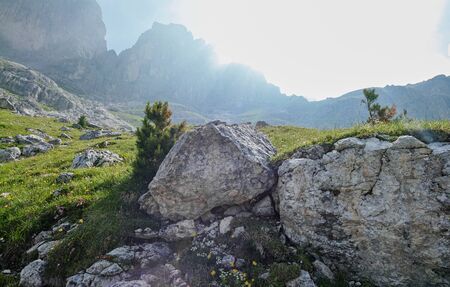 view of Gruppo del Catinaccio (Rosengarten Group) Dolomites, Hirzelwegの写真素材