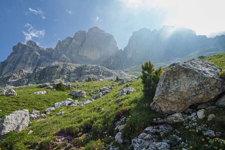 view of Gruppo del Catinaccio (Rosengarten Group) Dolomites, Hirzelwegの写真素材