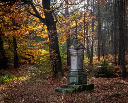 Old Cross on Yellow Trees Backgroundの写真素材