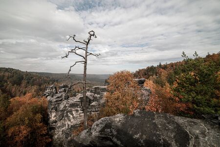 Landscape with rocks in Sandstone Mountains The Tisa Rocks, Tisa Walls (Tiske steny, Tyssaer W nde), Czech republicの写真素材