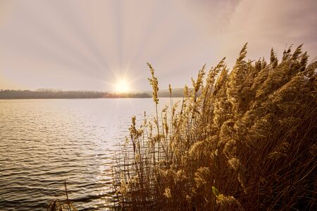 In the morning in the lakeの写真素材