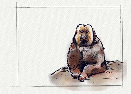 Watercolor illustration of a monkey sittingの写真素材