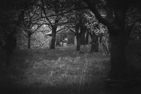 old ruined house between appletreeの写真素材