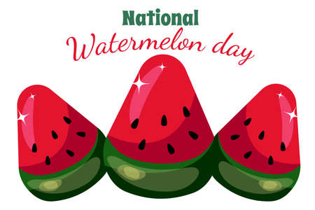 watermelon holiday. world watermelon day. national watermelon day. three slices of watermelon for the holidayのイラスト素材