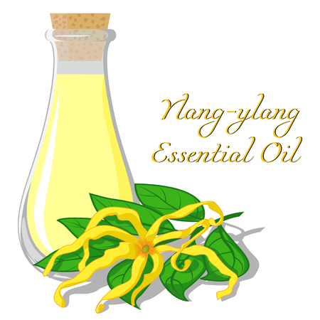 Small bottle with essential oil of ylang-ylangのイラスト素材