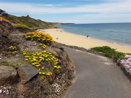 beach, Melbourne Australiaのeditorial素材
