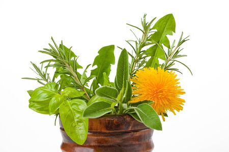 Rosemary, sage, basil and dandelion in a mortarの写真素材