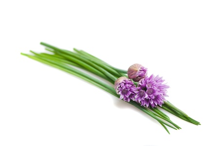 Chives flowers isolated on whiteの写真素材