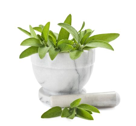 Sage in a mortar isolated on whiteの写真素材