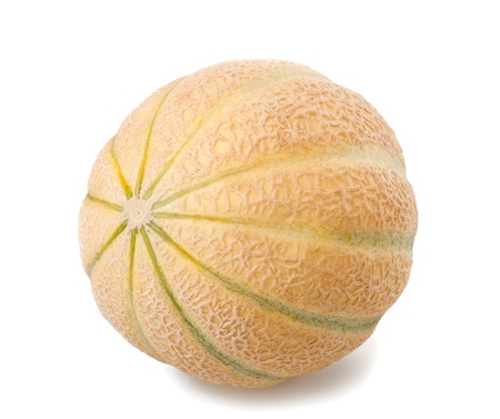 Charentais melon  isolated on whiteの写真素材